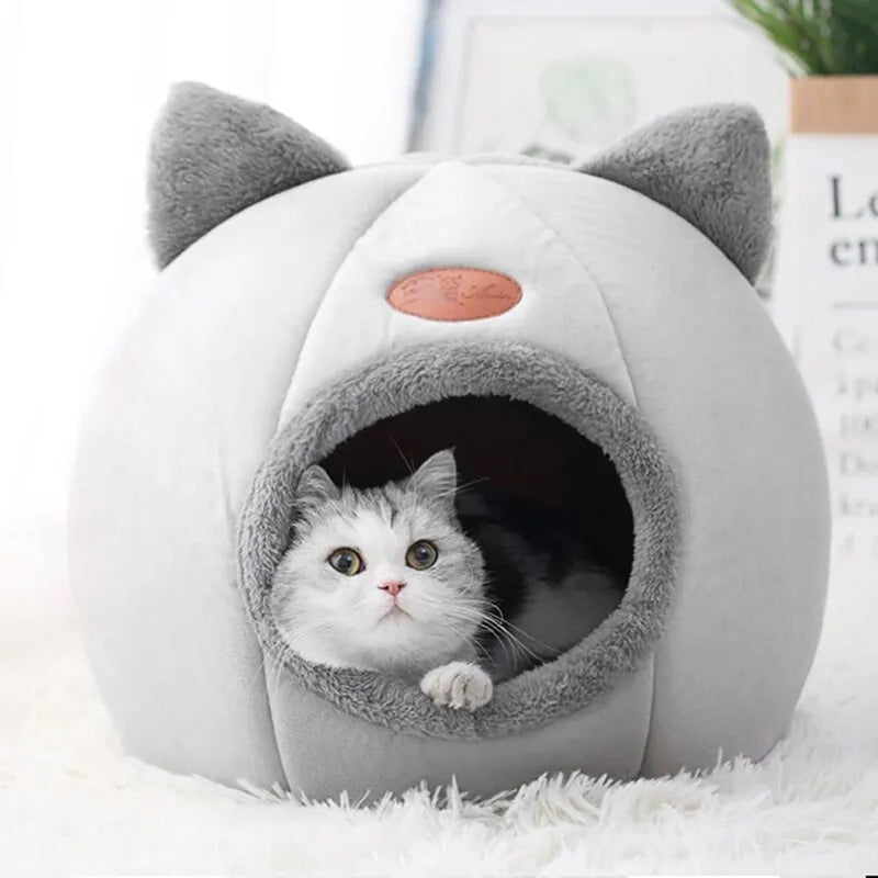 Cama Igloo para Pets - Select